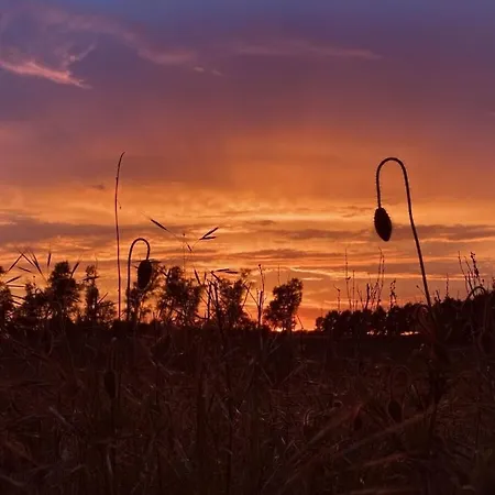To The Hay Bale Wagon *